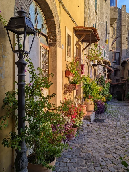 전형적 이탈리아 마을들의 거리를 포장하고 라치오 카스텔누오보 포르투 꽃으로 장식된 — 스톡 사진
