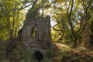 Lazio 'daki Monterano Vecchia harabelerinin manzarası güneşli.