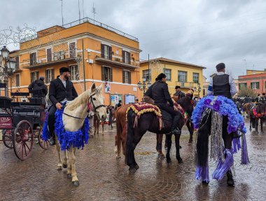 MONTEROTONDO, ITALY - JANUARY 15, 2023: View of the historic center of Monterotondo during the patron feast of Sant'Antonio with beautiful horses, Lazio, Italy