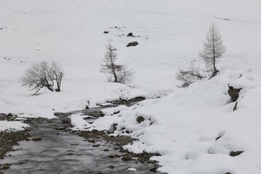 Typical Winter alpine landscape with trees and river in the snow, Alto Adige, Italy