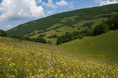 Typical umbria landscape in the spring season: the green lung of Italy
