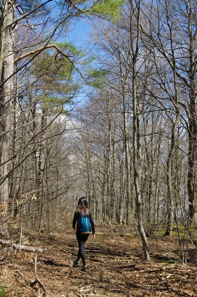 stock image MONTEGALLO, ITALY - MARCH 25, 2023: View of forest in the spring season. Portrait of lonely girl walking in the mountain wild forest in the Marche region, Italy