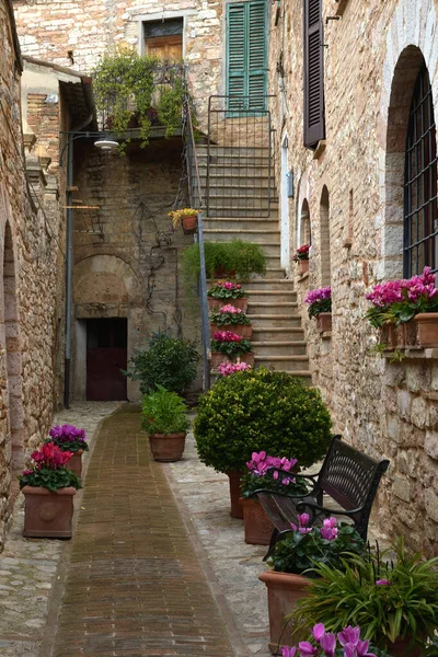 View Typical Alley Spello Medieval Beautiful Town Umbria Stock Picture