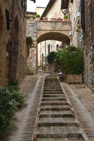 Talya Nın Umbria Bölgesindeki Küçük Spello Kasabasında Dar Bir Sokak — Stok fotoğraf