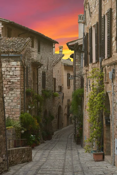 Vista Rua Spello Durante Pôr Sol Famosa Cidade Medieval Flores — Fotografia de Stock