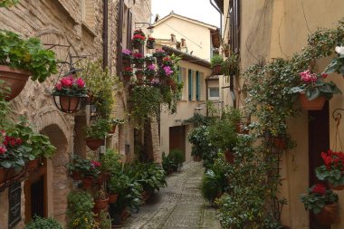 İtalya 'nın Umbria bölgesinde bulunan Spello ortaçağ kasabasının antik caddesinde güzel çiçekler