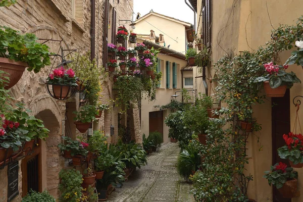 Lindas Flores Antiga Rua Spello Cidade Medieval Localizada Região Úmbria — Fotografia de Stock