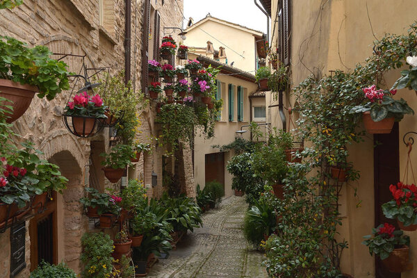 Beautiful flowers in ancient street of Spello medieval town located in Umbria region, Italy