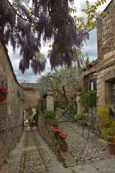 Charmante Blumengeschmückte Gassen Eines Typisch Italienischen Dorfes — Stockfoto
