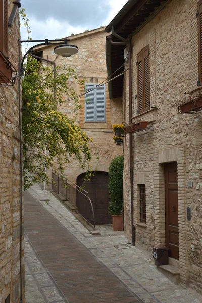 Talya Nın Umbria Bölgesindeki Küçük Spello Kasabasında Dar Bir Sokak — Stok fotoğraf