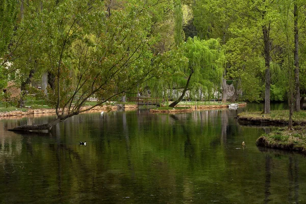 Вид Маленькое Озеро Идиц Деревьями Регионе Умбрия Италия — стоковое фото