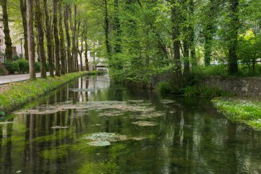 Umbria İtalya 'daki Scheggino ortaçağ kasabasının merkezindeki küçük nehir manzarası
