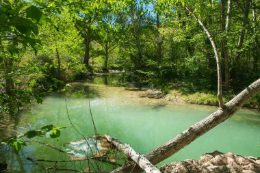 Assisi, Umbria bölgesi, İtalya 'da Tescio nehri ile ünlü Saint Francis ormanının manzarası