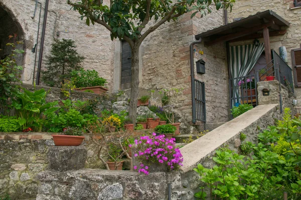 Arrone Włochy Kwietnia 2023 Średniowieczne Centrum Miasta Arrone Ozdobione Kwiatami — Zdjęcie stockowe