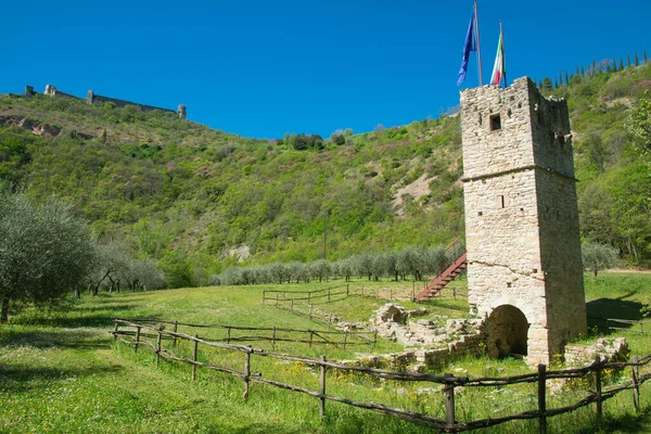 Assisi Italia Aprile 2023 Torre Nel Celebre Bosco San Francesco — Foto Stock