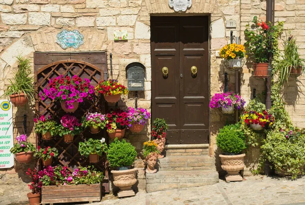 Spello Itália Maio 2023 Porta Bonita Decorada Com Vaso Flores — Fotografia de Stock