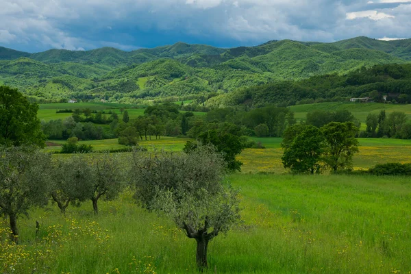 Vista Das Colinas Verdes Típicas Região Úmbria Primavera Itália — Fotografia de Stock