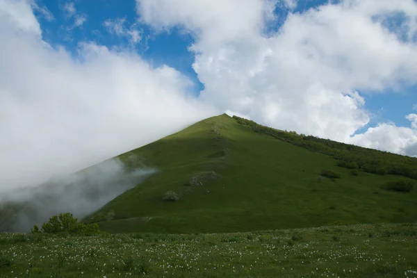 Вид Гору Туманом Весняний Сезон Дикі Квіти — стокове фото