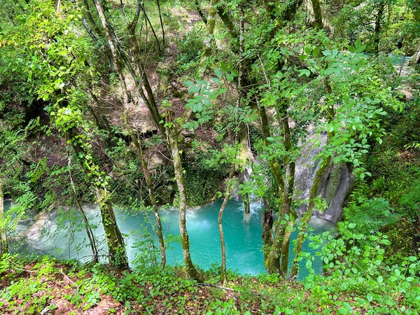 Piękny Staw Szmaragdową Wodą Lesie Region Umbrii — Zdjęcie stockowe