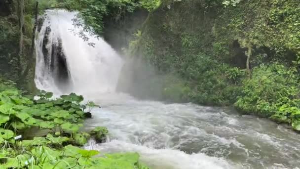 意大利翁布里亚地区6月一个阳光灿烂的日子里 马莫尔瀑布下坠的全景 — 图库视频影像