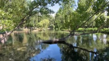 İtalya 'nın Umbria bölgesinde Haziran ayının rüzgarlı bir gününde Fonti del Clitunno gölünün yaz manzarası