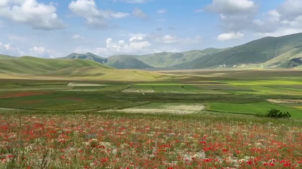 Панорама Славнозвісного Цвіту Кастелюччо Норсія Італія — стокове відео
