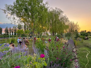 ASSISI, İtalya - 2 Temmuz 2023: Assisi 'deki lavanta ziyafeti sırasında romantik bir akşam yemeği. Gün batımında lavanta ve diğer çiçeklerle dolu güzel bir bahçe.