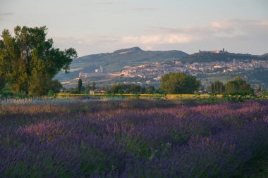 İtalya 'nın Umbria kentinde gün batımında Assisi' nin romantik ve güzel manzarası