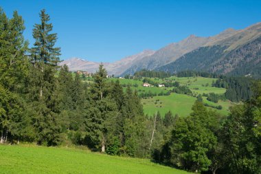 İtalya, Alto Adige 'de güneşli bir günde güzel Val Ridanna' nın yaz manzarası