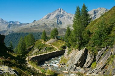 İtalya Valle Aurina 'daki Alp yolu ve küçük dere manzarası