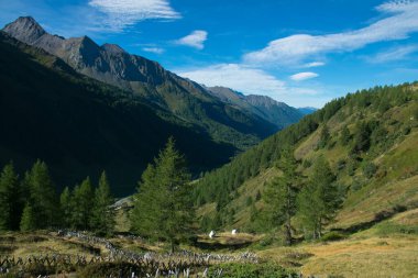 Valle Aurina Alto Adige, İtalya 'da sabah görüşü
