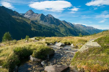 Valle Aurina, İtalya 'daki küçük dağlık dere manzarası