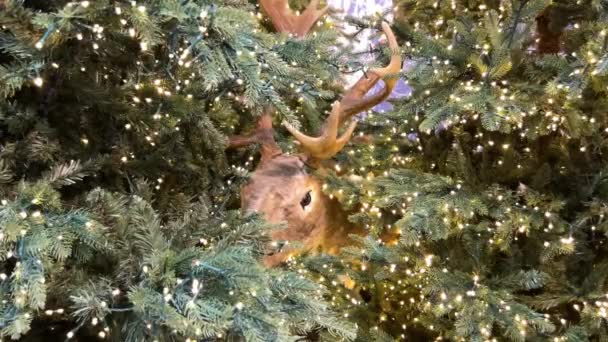 Αναπαράσταση Ταράνδων Στο Χριστουγεννιάτικο Δέντρο — Αρχείο Βίντεο