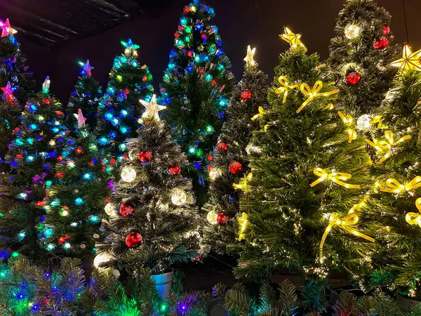 Ambiente Navideño Grupo Árboles Navidad Colores Por Noche Centro Ciudad Imagen De Stock