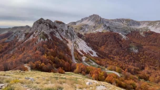 Schönes Laub Tal Des Monte Terminillo Region Latium Italien — Stockvideo