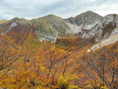 İtalya 'nın Lazio bölgesindeki İtalyan apennine' de sonbahar yeşilliği manzarası