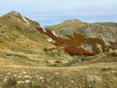 İtalya 'nın Lazio bölgesindeki Monte di Cambio ve Monte i Porcini zirvesinin sonbahar sezonu manzarası