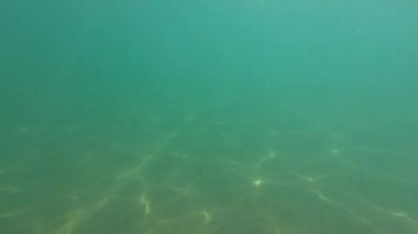 Mezzavalle sahilindeki su altı manzarası, Riviera del Conero, Marche bölgesi, İtalya