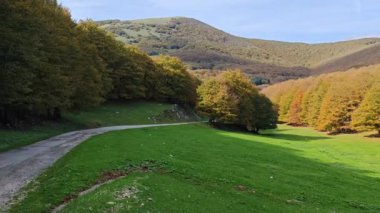 Sonbahar sezonunda Monte Cucco bölge parkı, Umbria bölgesi, İtalya