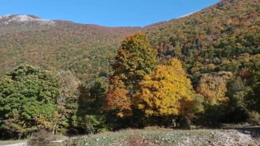 Sonbahar mevsiminde Leonessa yakınlarında renkli ağaçlarla dolu yüksek dağların manzarası, Lazio bölgesi, İtalya