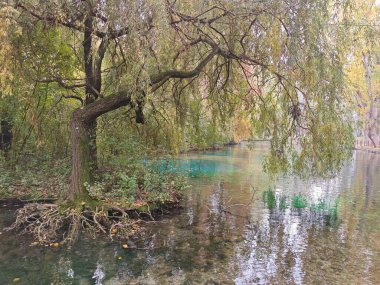 Fonti del Clitunno 'nun sonbahar mevsiminde nehir manzarası.