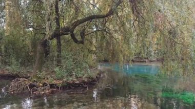 İtalya 'nın Umbria bölgesindeki ünlü Fonti del Clitunno' da zümrüt su