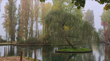 Göldeki küçük bir adada ağlayan yastığın görüntüsü 