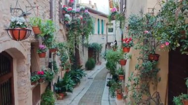 Spello'da manzara, Umbria'daki çiçekli ve pitoresk köy, Perugia eyaleti, İtalya