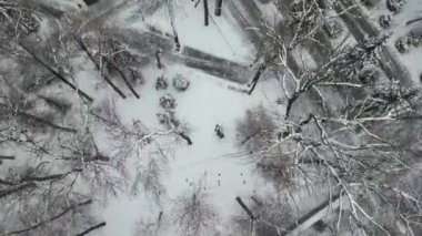 Şehir parkının üzerinde ağaçlar ve binalarla uçuyor..