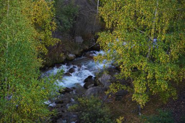 The river and different vegetation in the mountainous area.