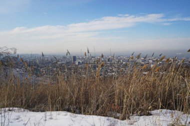 Almaty, Kazakhstan - 01.31.2023 : Dry grass in the foothills against the background of city buildings and smog.
