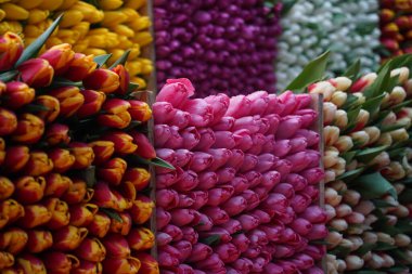 Almaty, Kazakistan - 06.03.2023: Tatilden önce farklı çiçek buketleri indirimde.