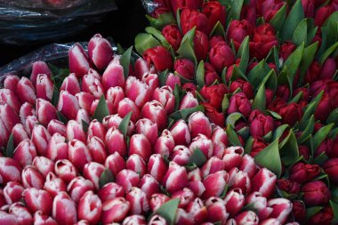 Almaty, Kazakistan - 06.03.2023: Tatilden önce farklı çiçek buketleri indirimde.