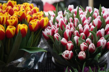 Almaty, Kazakistan - 06.03.2023: Tatilden önce farklı çiçek buketleri indirimde.